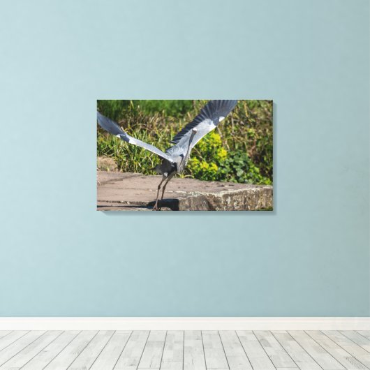 Imposanter Graureiher Canvas Afdruk (Insitu (Houten vloer))