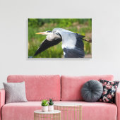 Imposanter Graureiher mit weiten Schwingen Canvas Afdruk (Insitu (Woonkamer))