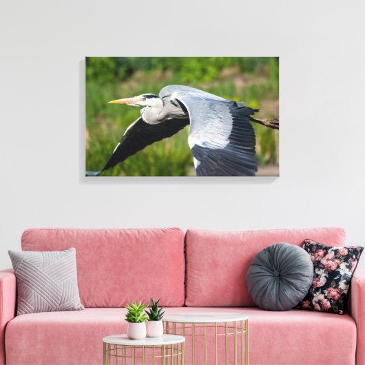 Imposanter Graureiher mit weiten Schwingen Canvas Afdruk (Insitu (Woonkamer))