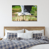 Imposanter Graureiher mit weiten Schwingen Canvas Afdruk (Insitu (Slaapkamer))