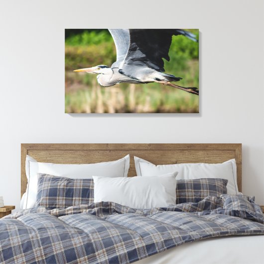 Imposanter Graureiher mit weiten Schwingen Canvas Afdruk (Insitu (Slaapkamer))