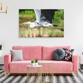 Imposanter Graureiher mit weiten Schwingen Canvas Afdruk (Insitu (Woonkamer))