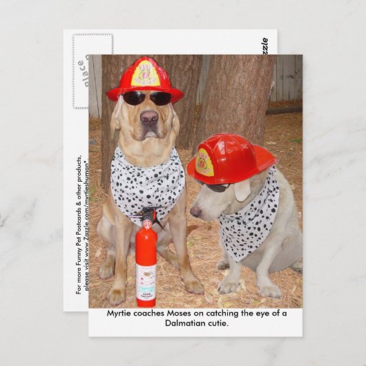 Imposter Briefkaart (Voorkant / Achterkant)