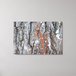 Impressão em Tela NATUREZA BRASIL Canvas Afdruk