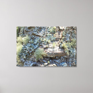 Impressão em Tela NATUREZA BRASIL Canvas Afdruk