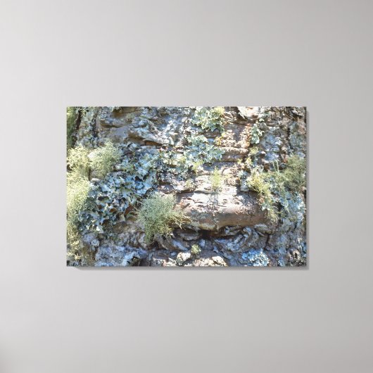 Impressão em Tela NATUREZA BRASIL Canvas Afdruk (Voorkant)