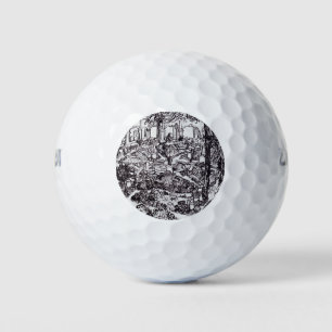 Impressionisme Vincent Van Gogh Garten des Hospita Golfballen