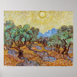 Impressionisme Vincent Van Gogh Olive Trees beroem Poster
