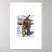 Impressionist Sharpei Poster (Voorkant)