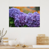 Impressionistisch Hydrangea-Poster Poster (Keuken)