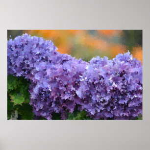 Impressionistisch Hydrangea-Poster Poster