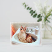 Impressionistisch kat in een Briefkaart met een zi (Staand voorkant)