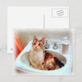 Impressionistisch kat in een Briefkaart met een zi (Voorkant / Achterkant)