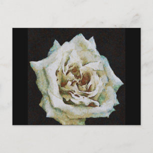 Impressionistisch Roos geïsoleerd op zwart Briefkaart