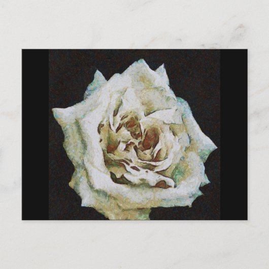 Impressionistisch Roos geïsoleerd op zwart Briefkaart (Voorkant)