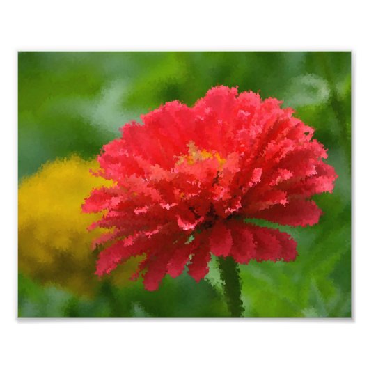 Impressionistisch Zinnia-fotoafdrukken Foto Afdruk (Voorkant)