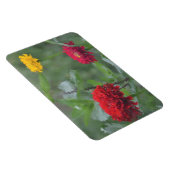 Impressionistisch Zinnia Magnet Magneet (Rechterzijde)