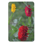 Impressionistisch Zinnia Magnet Magneet (Verticaal)