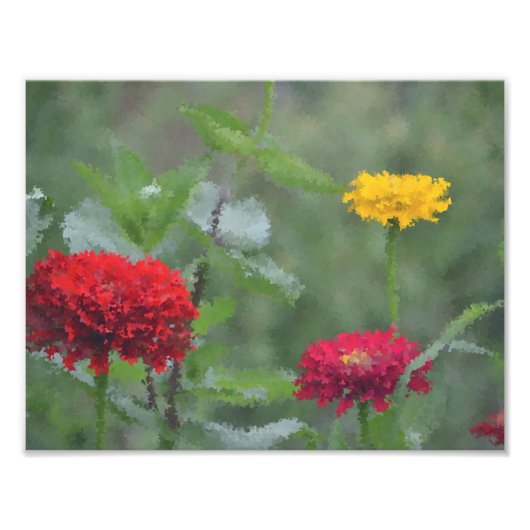 Impressionistisch Zinnias Foto Afdruk (Voorkant)