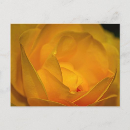 Impressionistische Gele Rozenblaadjes Briefkaart (Voorkant)