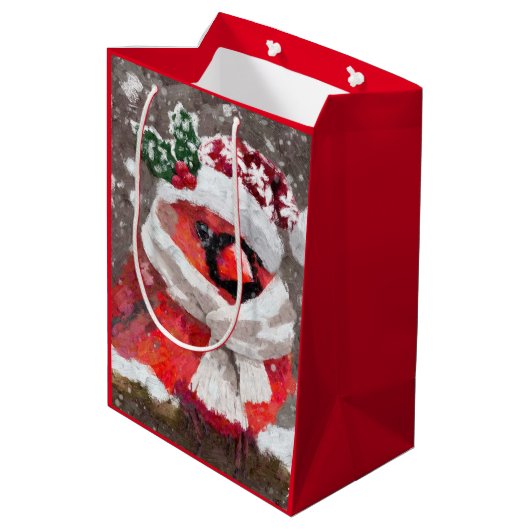 Impressionistische Kardinaal Vogelsjaal & Pet in S Medium Cadeauzakje (Achterkant Gekanteld)