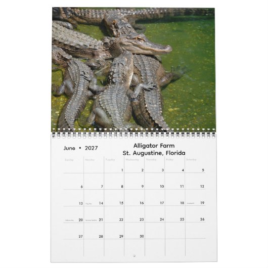Impressions of Florida 2026 Calendar Kalender (Jun 2027)