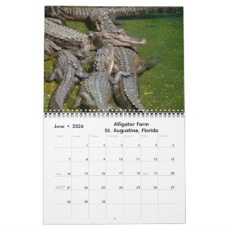 Impressions of Florida 2026 Calendar Kalender