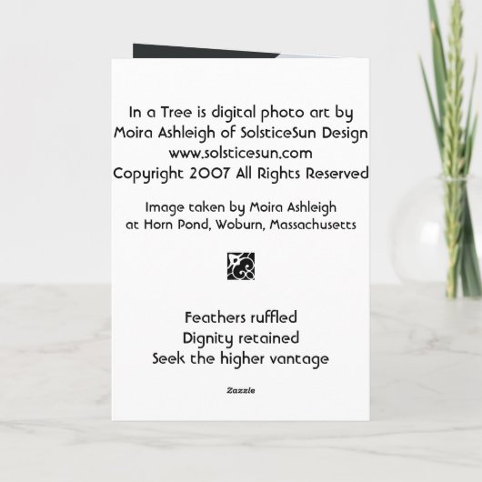 In a Tree Kaart (Achterkant)