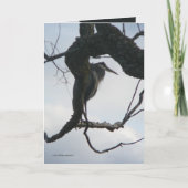 In a Tree Kaart (Voorkant)