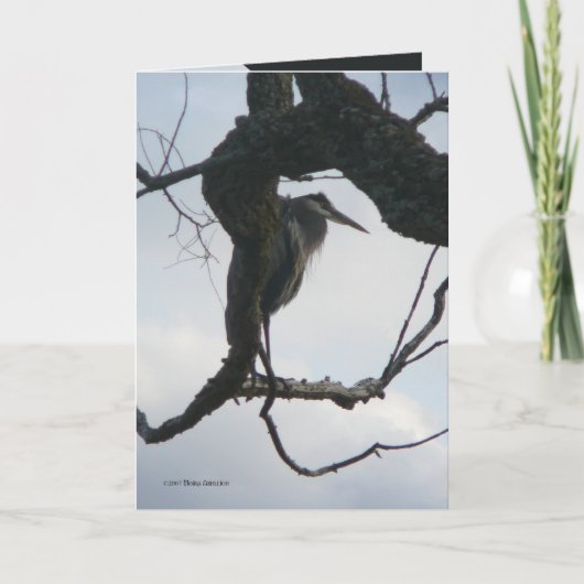 In a Tree Kaart (Voorkant)