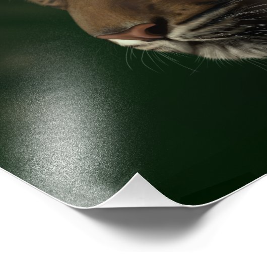 In afwachting van de Dawn - Gretchen Bartz Foto Afdruk (Hoek)