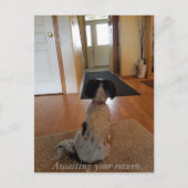 In afwachting van je terugkeer briefkaart (Voorkant)