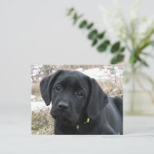In afwachting van Lente - Labrador Puppy - Zwart L Briefkaart (Staand voorkant)