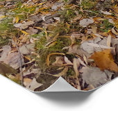 In afwezigheid van muziek poster (Hoek)