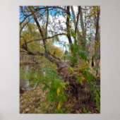 In afwezigheid van muziek poster (Voorkant)