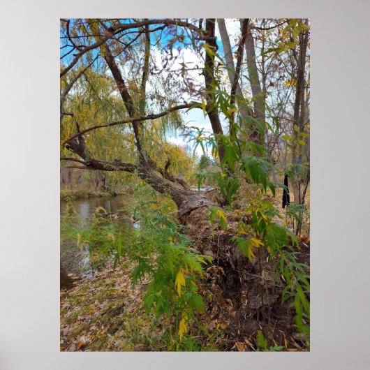 In afwezigheid van muziek poster (Voorkant)