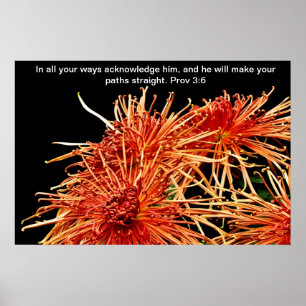 in al uw opzichten erkent u hem poster