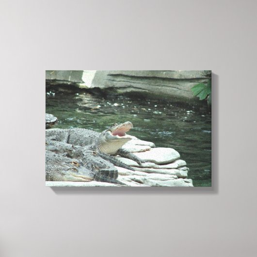 In alligator verpakt canvas afdruk (Voorkant)