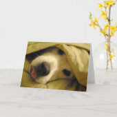 In bed blijven tot dinsdag kaart (Gele Bloem)