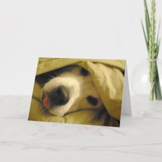 In bed blijven tot dinsdag kaart