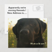 In beweging aankondigingskaart (Voorkant / Achterkant)