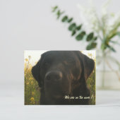 In beweging aankondigingskaart (Staand voorkant)