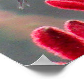 In beweging poster (Hoek)