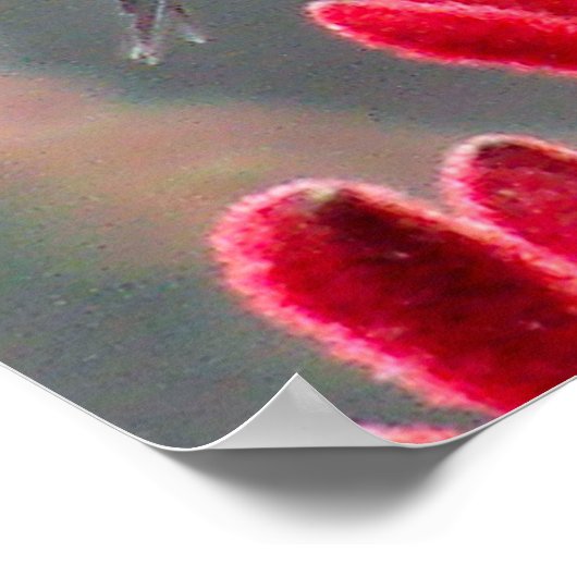 In beweging poster (Hoek)