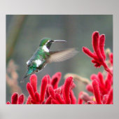 In beweging poster (Voorkant)