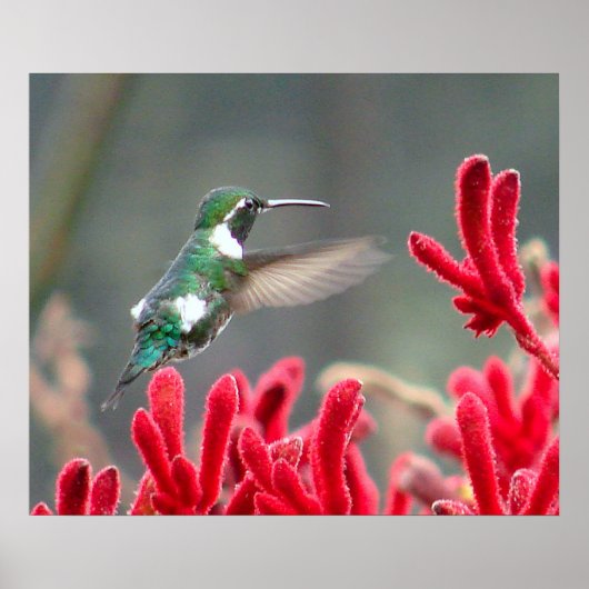 In beweging poster (Voorkant)