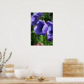 In blauw Anemone Floral Photography Poster (Keuken)