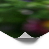 In blauw Anemone Floral Photography Poster (Hoek)