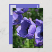 In blauwe bloemenfotografie briefkaart (Voorkant / Achterkant)