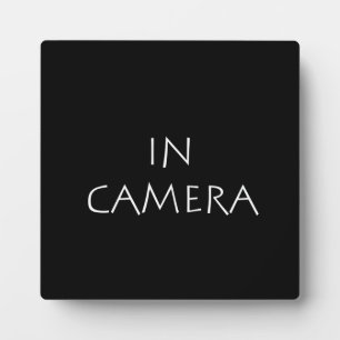 In camera fotoplaat